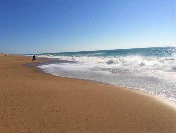 Brétignolles-sur-Mer Appart Breti Plage 2 - Duplex מראה חיצוני תמונה